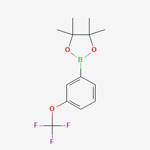 molecular formula C13H16BF3O3 B1302311 4,4,5,5-Tetramethyl-2-(3-(trifluoromethoxy)phenyl)-1,3,2-dioxaborolane CAS No. 262376-31-8