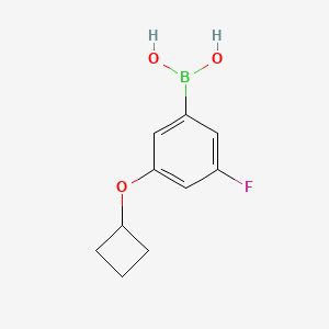 molecular formula C10H12BFO3 B13024135 (3-Cyclobutoxy-5-fluorophenyl)boronic acid 