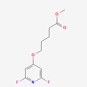 molecular formula C11H13F2NO3 B13046639 Methyl 5-((2,6-difluoropyridin-4-YL)oxy)pentanoate 