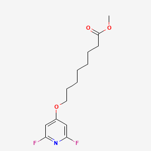 molecular formula C14H19F2NO3 B13047288 Methyl 8-((2,6-difluoropyridin-4-YL)oxy)octanoate 