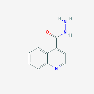 molecular formula C10H9N3O B1304848 喹啉-4-碳酰肼 CAS No. 29620-62-0