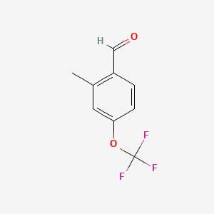 molecular formula C9H7F3O2 B1304983 2-Methyl-4-(trifluoromethoxy)benzaldehyde CAS No. 886763-07-1