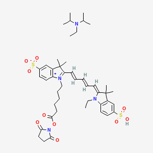 molecular formula C45H62N4O10S2 B13052979 CY5-SE/Dipea 