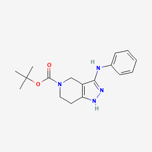 molecular formula C17H22N4O2 B13053565 Tert-butyl 3-(phenylamino)-1,4,6,7-tetrahydro-5H-pyrazolo[4,3-C]pyridine-5-carboxylate 
