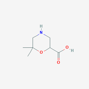 molecular formula C7H13NO3 B13057420 6,6-Dimethylmorpholine-2-carboxylic acid 
