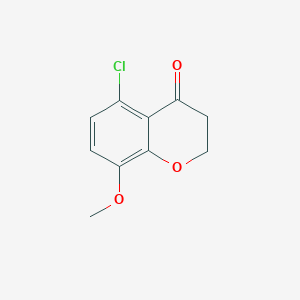 molecular formula C10H9ClO3 B13057619 5-Chloro-8-methoxychroman-4-one 
