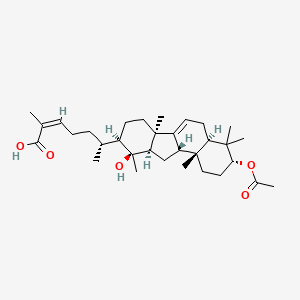 molecular formula C32H50O5 B13058895 KadcoccineacidM 