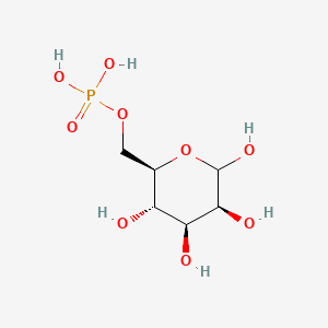 molecular formula C6H13O9P B13060355 Mannose-6-phosphate 