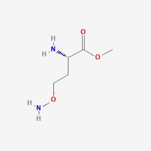 molecular formula C5H12N2O3 B13060843 Methyl (2S)-2-amino-4-(aminooxy)butanoate 
