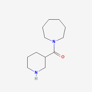 1-Azepanyl(3-piperidinyl)methanone