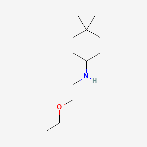 molecular formula C12H25NO B13063039 N-(2-ethoxyethyl)-4,4-dimethylcyclohexan-1-amine 