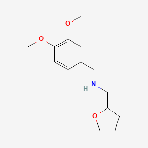 (3,4-Dimethoxy-benzyl)-(tetrahydro-furan-2-YL-methyl)-amine