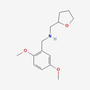 (2,5-Dimethoxy-benzyl)-(tetrahydro-furan-2-YL-methyl)-amine