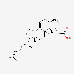 molecular formula C30H48O2 B13064367 SecococcinicacidF 