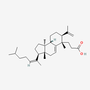 molecular formula C30H48O2 B13067167 KadsuracoccinicacidB 