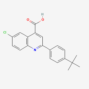 2-(4-Tert-butylphenyl)-6-chloroquinoline-4-carboxylic acid