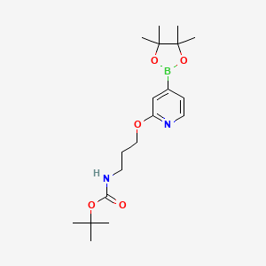molecular formula C19H31BN2O5 B13076052 tert-Butyl (3-((4-(4,4,5,5-tetramethyl-1,3,2-dioxaborolan-2-yl)pyridin-2-yl)oxy)propyl)carbamate CAS No. 1346697-31-1