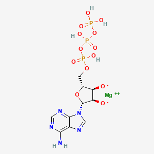 molecular formula C10H14MgN5O13P3 B13077613 magnesium;(2R,3R,4S,5R)-2-(6-aminopurin-9-yl)-5-[[hydroxy-[hydroxy(phosphonooxy)phosphoryl]oxyphosphoryl]oxymethyl]oxolane-3,4-diolate 