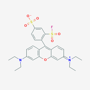 Sulforhodamine B 2-acid fluoride