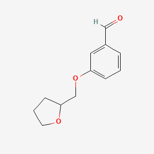 3-(Tetrahydro-furan-2-ylmethoxy)-benzaldehyde