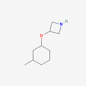 molecular formula C10H19NO B13091069 3-[(3-Methylcyclohexyl)oxy]azetidine 