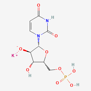 molecular formula C9H12KN2O9P B13091919 potassium;(2R,3R,4R,5R)-2-(2,4-dioxopyrimidin-1-yl)-4-hydroxy-5-(phosphonooxymethyl)oxolan-3-olate 