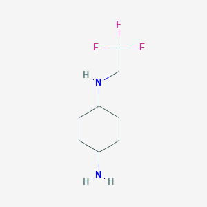 molecular formula C8H15F3N2 B13095646 N1-(2,2,2-Trifluoroethyl)cyclohexane-1,4-diamine 