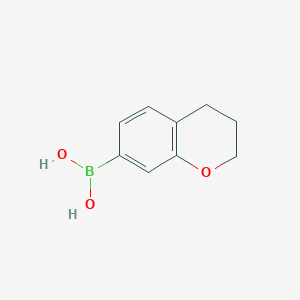 molecular formula C9H11BO3 B13096085 Chroman-7-ylboronic acid 