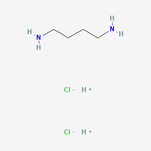 molecular formula C4H14Cl2N2 B13098138 1,4-Diaminobutanedihydrochloride 