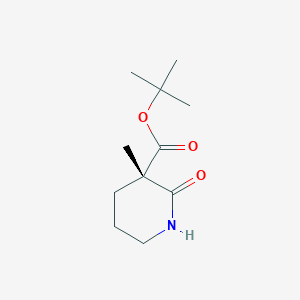 molecular formula C11H19NO3 B13105867 (S)-tert-Butyl 3-methyl-2-oxopiperidine-3-carboxylate 