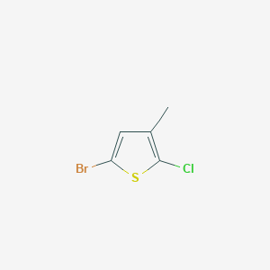 molecular formula C5H4BrClS B13122733 5-Bromo-2-chloro-3-methylthiophene CAS No. 1182346-30-0