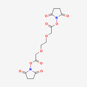 molecular formula C14H16N2O10 B13132865 Bis(2,5-dioxopyrrolidin-1-yl) 2,2'-(ethane-1,2-diylbis(oxy))diacetate CAS No. 62066-14-2