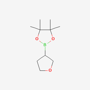 4,4,5,5-Tetramethyl-2-(tetrahydrofuran-3-yl)-1,3,2-dioxaborolane