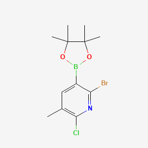 molecular formula C12H16BBrClNO2 B13140003 2-Bromo-6-chloro-5-methyl-3-(4,4,5,5-tetramethyl-1,3,2-dioxaborolan-2-yl)pyridine CAS No. 1010101-11-7
