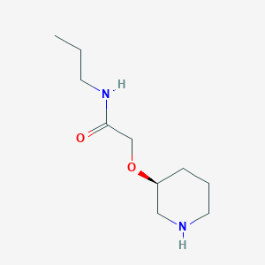 molecular formula C10H20N2O2 B13141435 (S)-2-(Piperidin-3-yloxy)-N-propylacetamide 