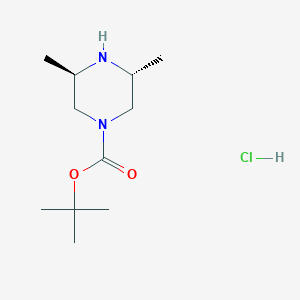 molecular formula C11H23ClN2O2 B13145419 trans-tert-Butyl-3,5-dimethylpiperazine-1-carboxylatehydrochloride 