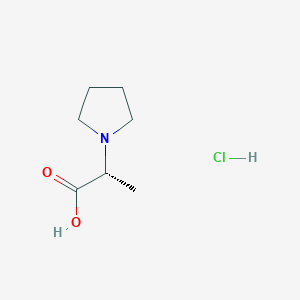 molecular formula C7H14ClNO2 B13147267 (R)-2-(Pyrrolidin-1-YL)propanoic acid hcl 