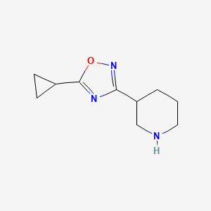 molecular formula C10H15N3O B13150827 3-(5-Cyclopropyl-1,2,4-oxadiazol-3-yl)piperidine 
