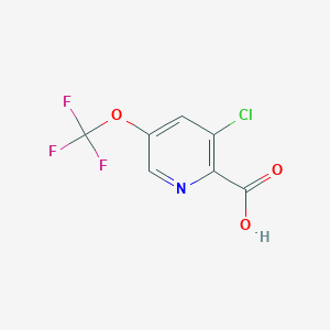 molecular formula C7H3ClF3NO3 B13157507 3-Chloro-5-(trifluoromethoxy)picolinic acid 