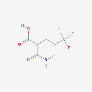molecular formula C7H8F3NO3 B13157549 2-Oxo-5-(trifluoromethyl)piperidine-3-carboxylic acid 