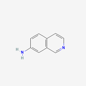 molecular formula C9H8N2 B1315814 Isoquinolin-7-amine CAS No. 23707-37-1