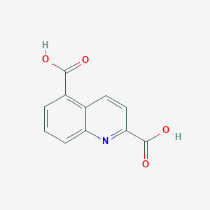 molecular formula C11H7NO4 B131620 Quinoline-2,5-dicarboxylic Acid CAS No. 155602-27-0