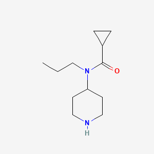 molecular formula C12H22N2O B13162716 N-(Piperidin-4-YL)-N-propylcyclopropanecarboxamide 