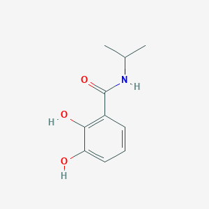 molecular formula C10H13NO3 B13162737 2,3-dihydroxy-N-(propan-2-yl)benzamide 