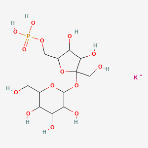 molecular formula C12H23KO14P B1316573 Sucrose 6'-monophosphate dipotassium salt CAS No. 36064-19-4