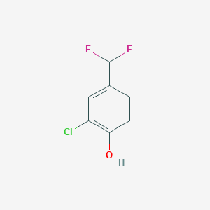 molecular formula C7H5ClF2O B13170727 2-Chloro-4-(difluoromethyl)phenol 