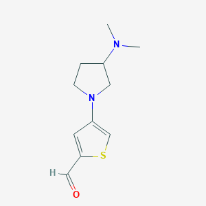 molecular formula C11H16N2OS B13171368 4-[3-(Dimethylamino)pyrrolidin-1-YL]thiophene-2-carbaldehyde 