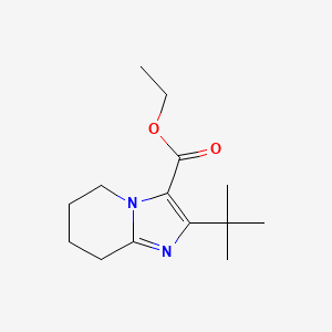 molecular formula C14H22N2O2 B13171473 Ethyl 2-tert-butyl-5H,6H,7H,8H-imidazo[1,2-a]pyridine-3-carboxylate 
