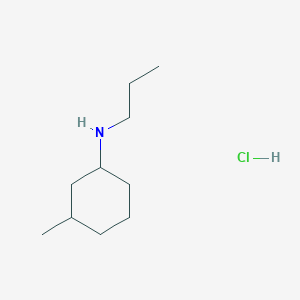 molecular formula C10H22ClN B1317371 3-METHYL-N-PROPYLCYCLOHEXANAMINE HYDROCHLORIDE CAS No. 1051919-32-4