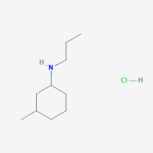 molecular formula C10H22ClN B1317371 (3-Methylcyclohexyl)propylamine hydrochloride CAS No. 1051919-32-4